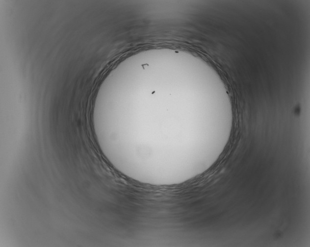 X0000115281393200912111215