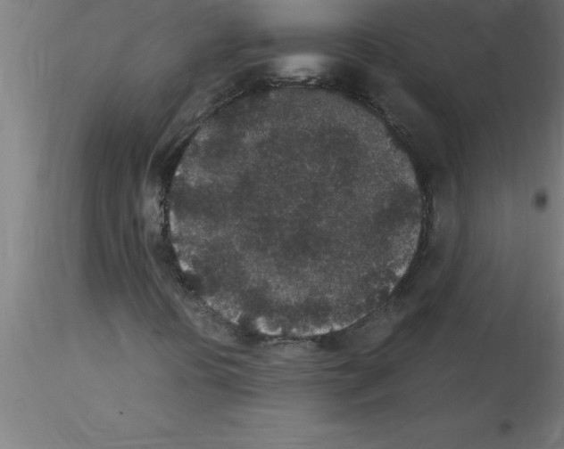 X0000115281394200912111215