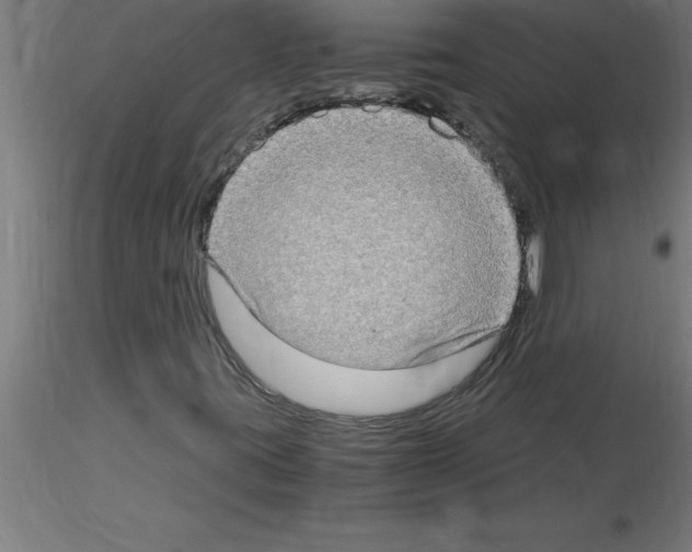 X0000115281395200912111215