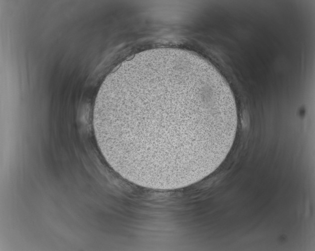 X0000115281396200912111215