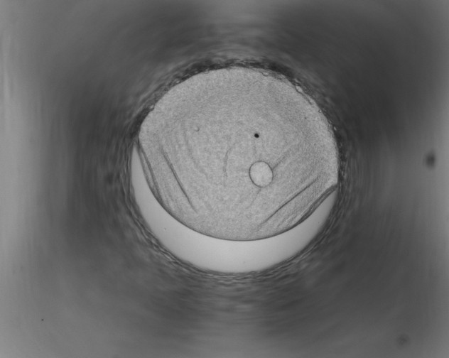 X0000115281397200912111215