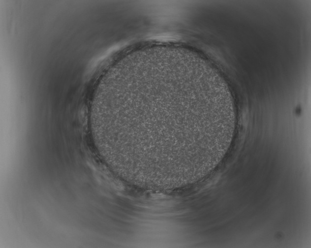 X0000115281398200912111215