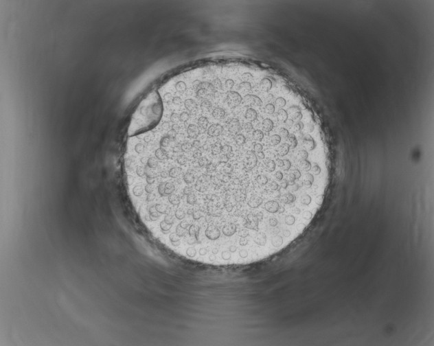 X0000115281400200912111215