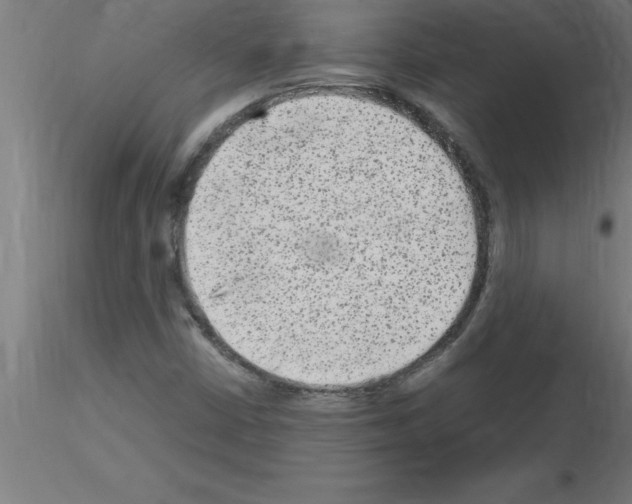 X0000115281402200912111215