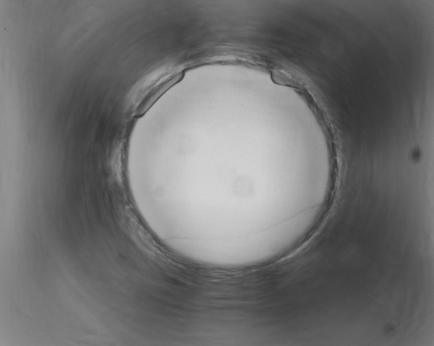 X0000115281403200912111215