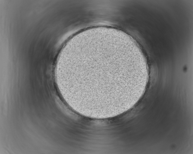 X0000115281404200912111215