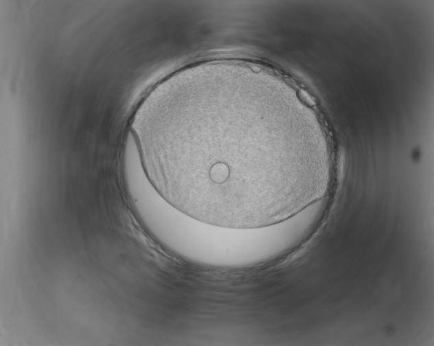 X0000115281405200912111215