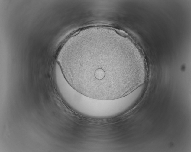 X0000115281407200912111215