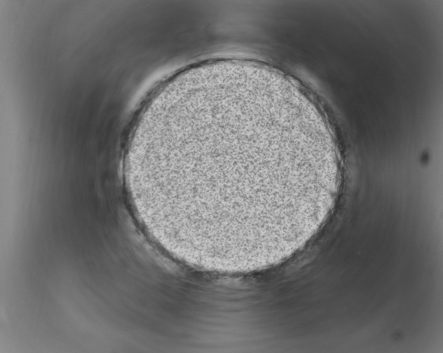 X0000115281408200912111215