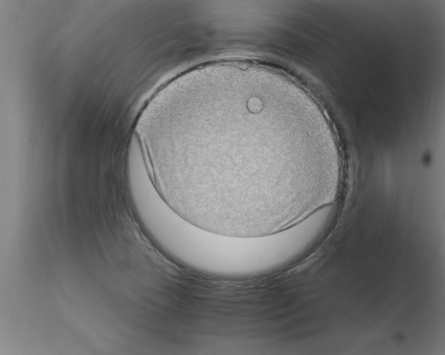 X0000115281409200912111216