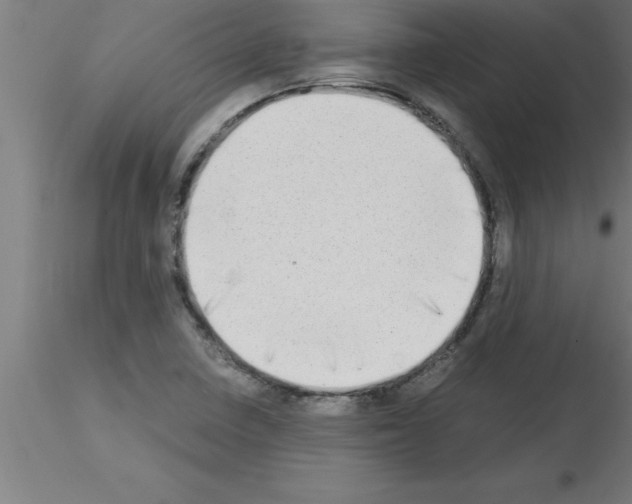 X0000115281410200912111216