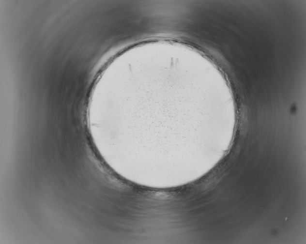 X0000115281412200912111216