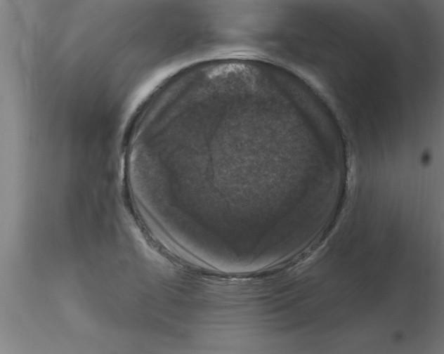 X0000115281414200912111216