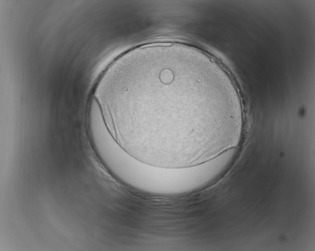 X0000115281415200912111216