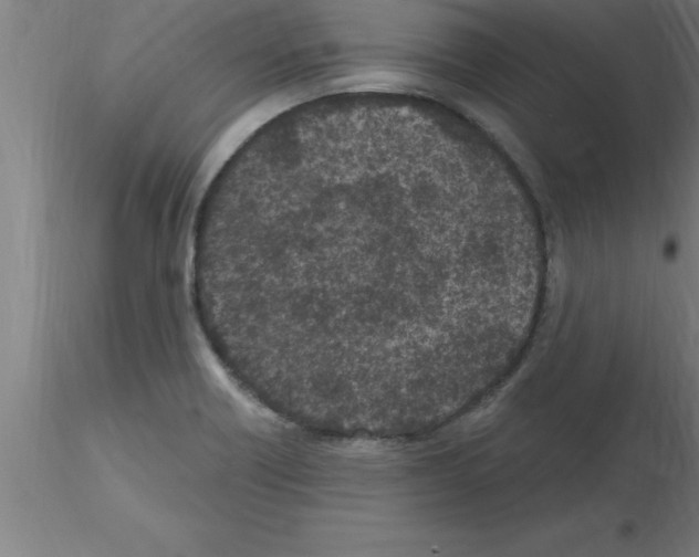 X0000115281418200912111216