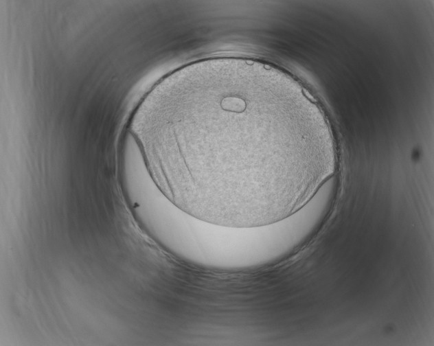 X0000115281419200912111216