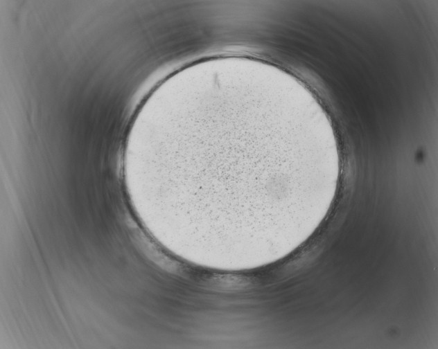 X0000115281420200912111216