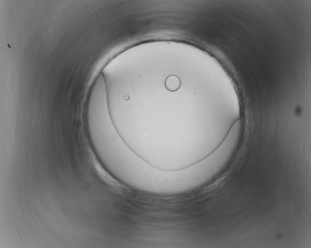 X0000115281421200912111216