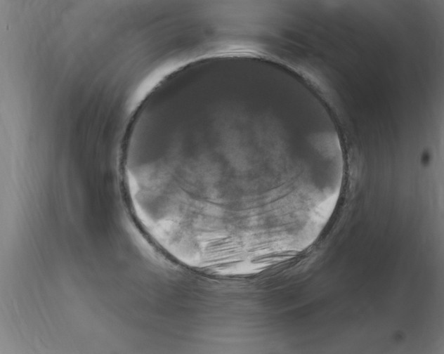 X0000115281422200912111216