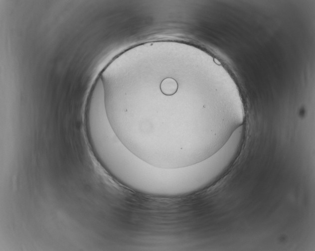 X0000115281423200912111216