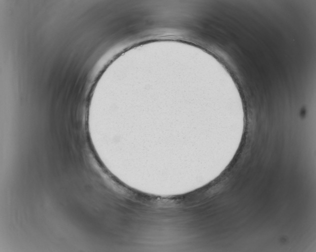 X0000115281424200912111216