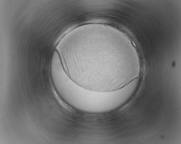 X0000115281425200912111216