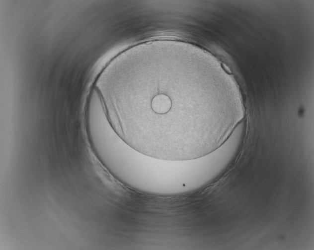 X0000115281427200912111216