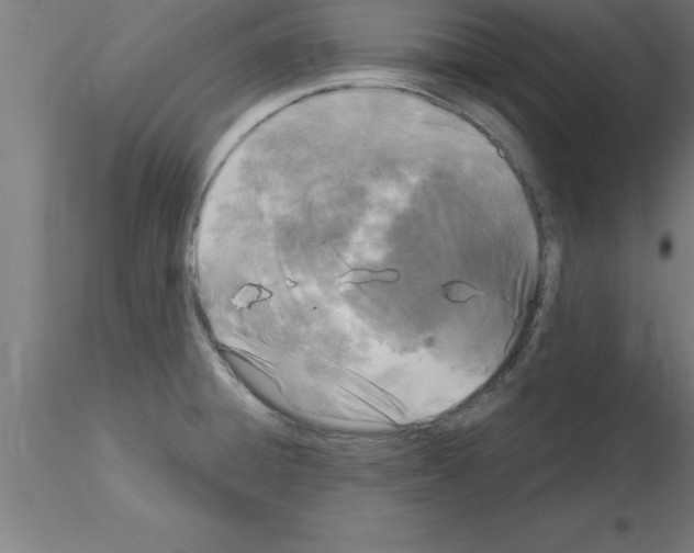 X0000115281428200912111216