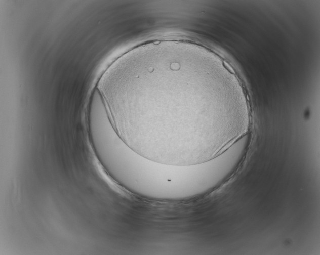 X0000115281429200912111216