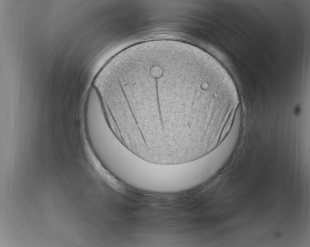 X0000115281431200912111216