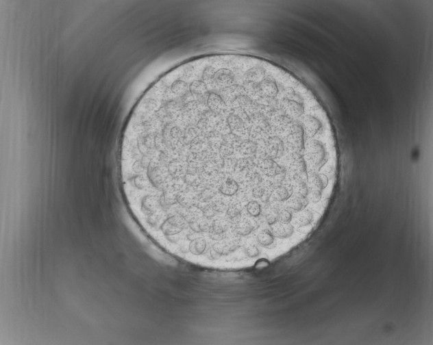 X0000115281432200912111216