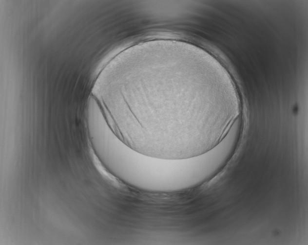 X0000115281433200912111216