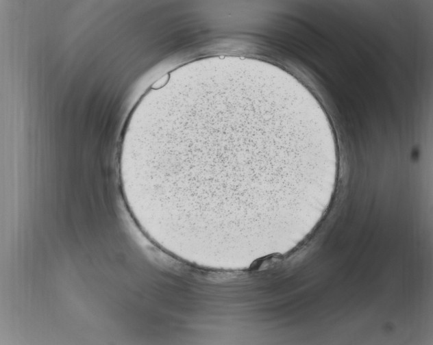 X0000115281434200912111216