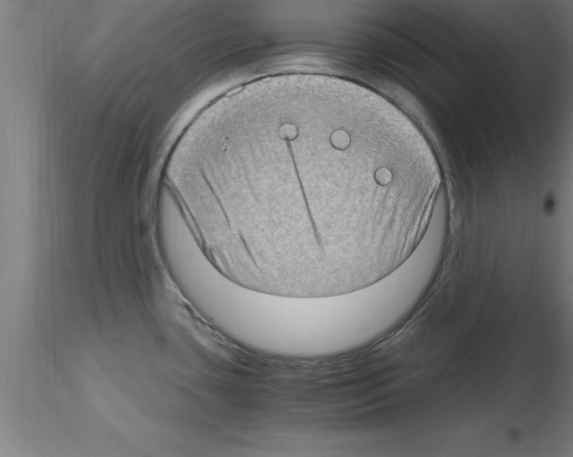 X0000115281435200912111216