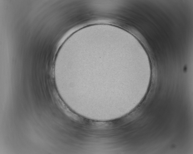 X0000115281436200912111216