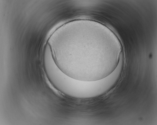 X0000115281437200912111216