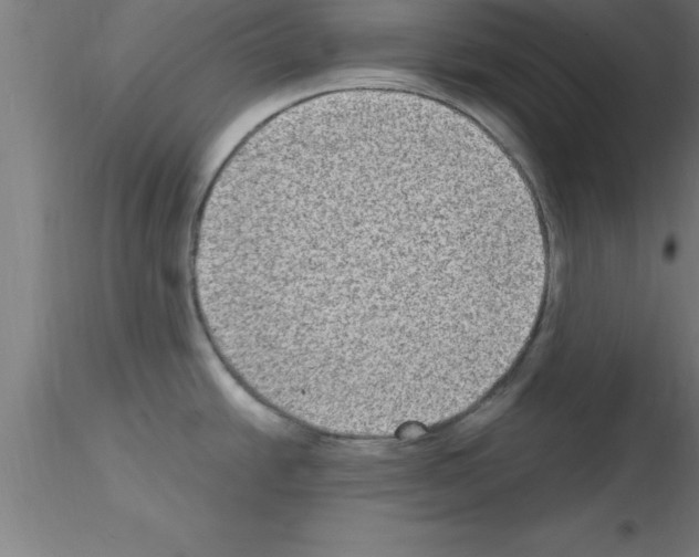 X0000115281438200912111216