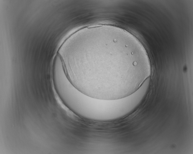 X0000115281439200912111216