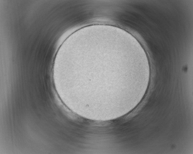 X0000115281440200912111216