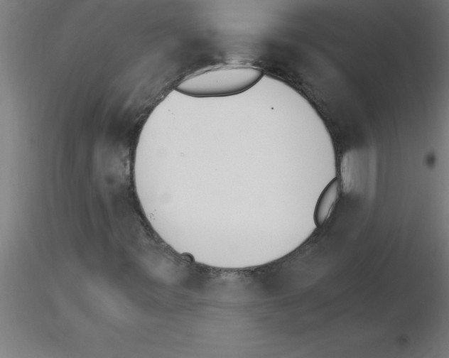 X0000115281443200912111215