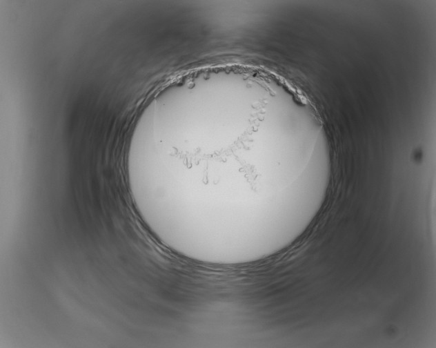 X0000115281444200912111215