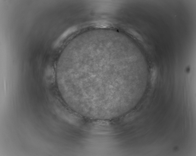 X0000115281446200912111215