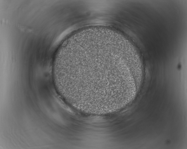 X0000115281450200912111215