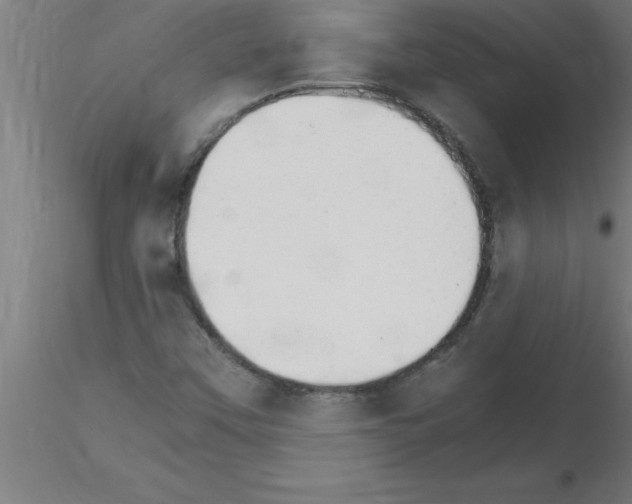 X0000115281451200912111215