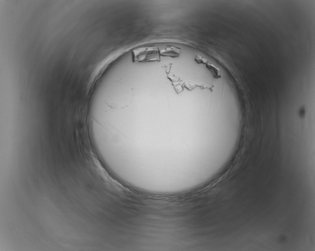 X0000115281452200912111215