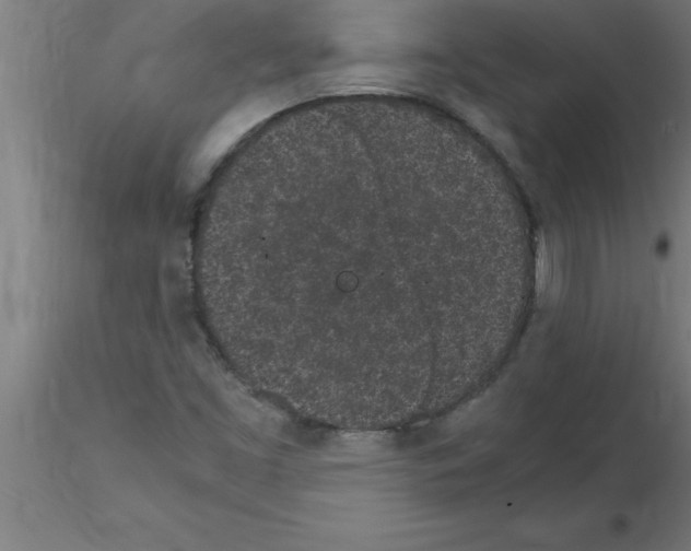 X0000115281453200912111215