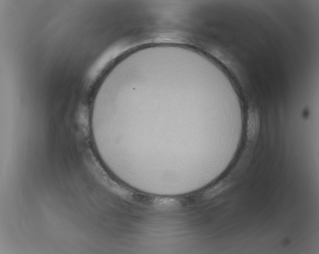 X0000115281454200912111215