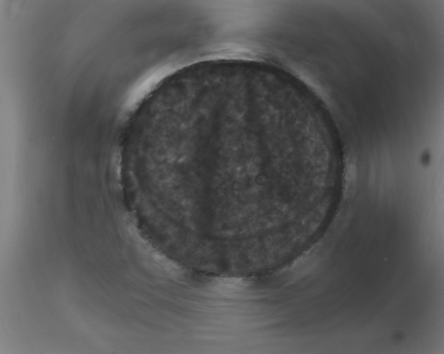 X0000115281455200912111215