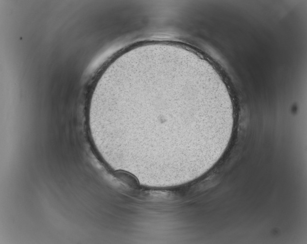 X0000115281456200912111215