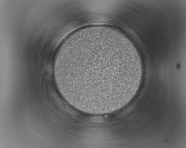 X0000115281457200912111215